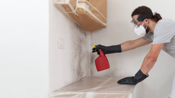 Professional Crawl Space Mold Removal technician working in New Millport, PA
